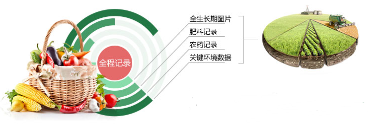 追溯系統