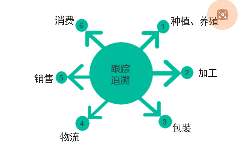 追溯系統