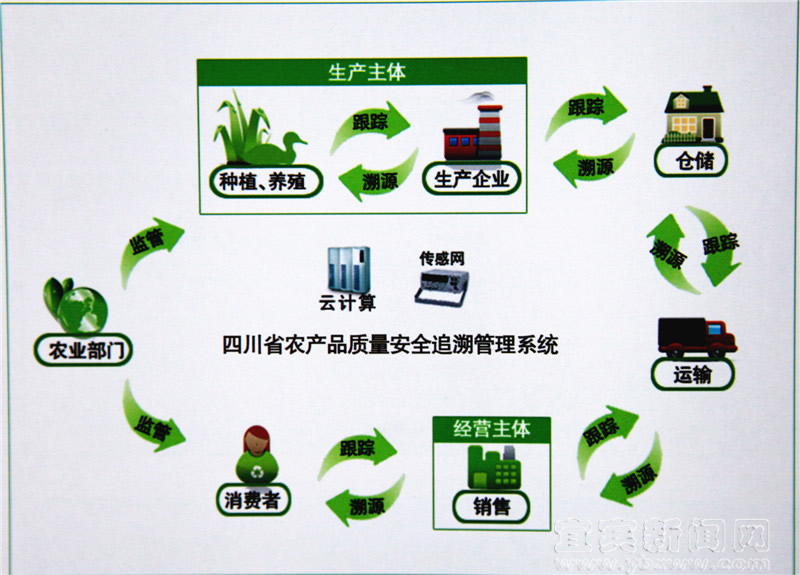 溯源系統,追溯,溯源