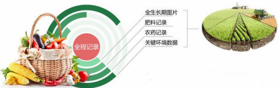 農產品溯源