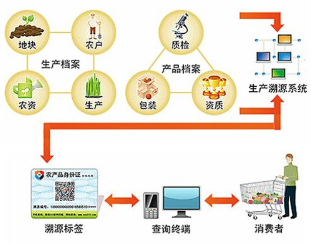 追溯系統