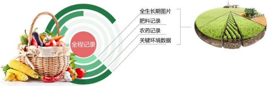 農產品追溯