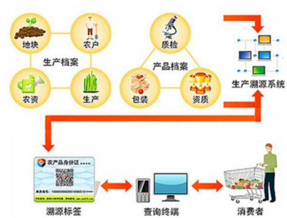 溯源系統