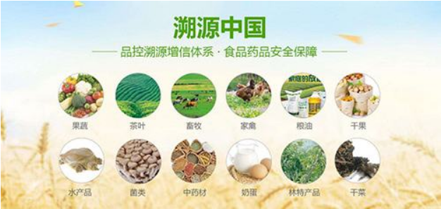 產品追溯