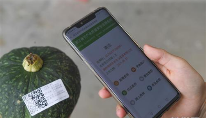 蔬菜追溯系統
