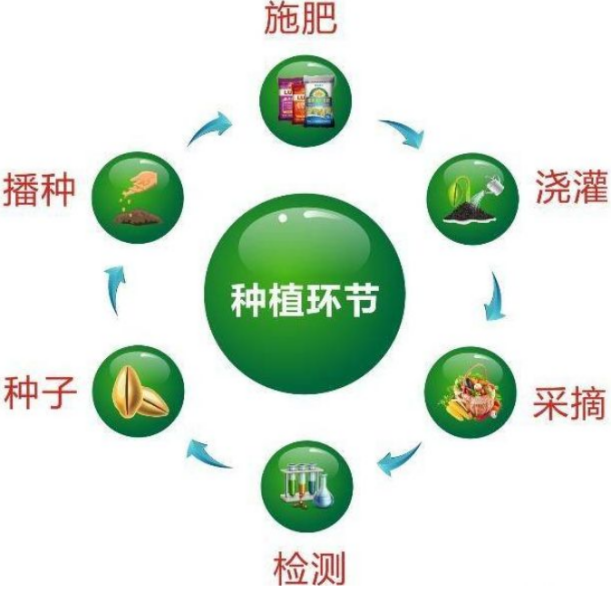 蔬菜質量追溯系統